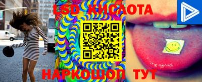 метадон Сланцы